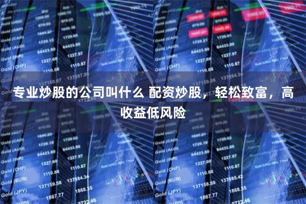 专业炒股的公司叫什么 配资炒股，轻松致富，高收益低风险
