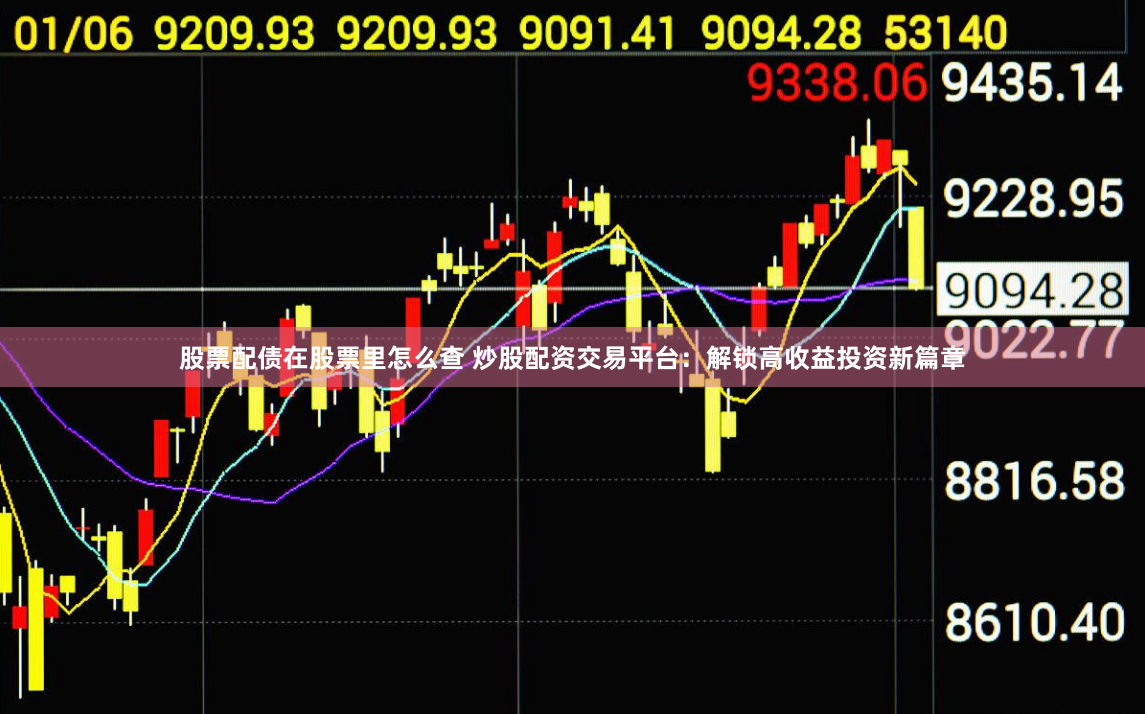 股票配债在股票里怎么查 炒股配资交易平台:解锁高收益投资新篇章