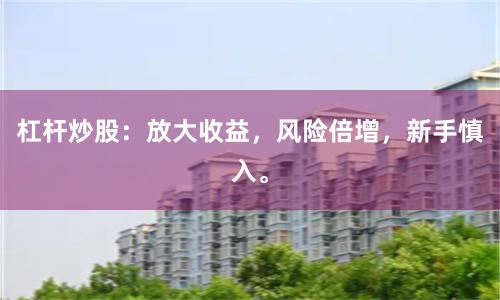 杠杆炒股：放大收益，风险倍增，新手慎入。